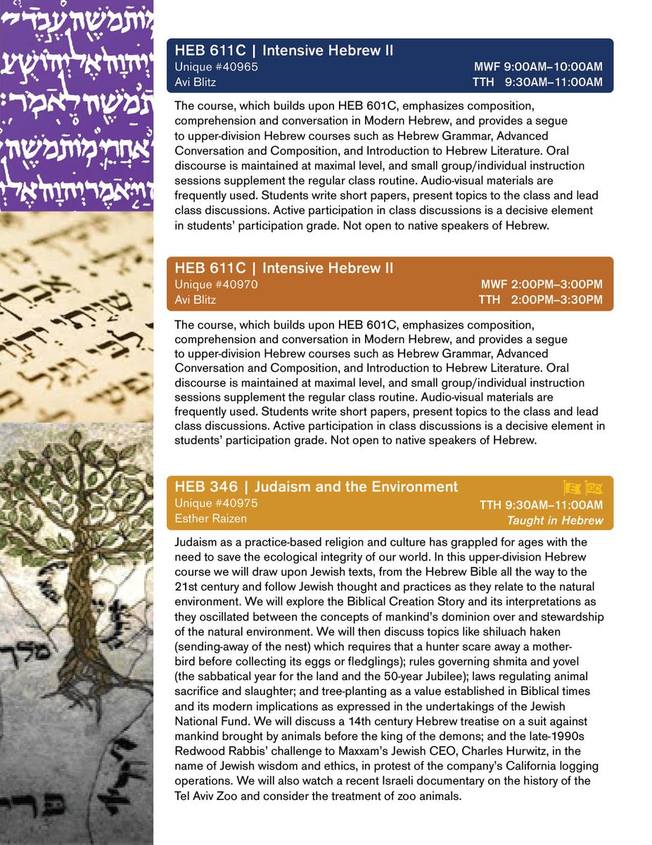 October is here and courses for Spring Semester are published. Check out the classes offered through the Schusterman Center!