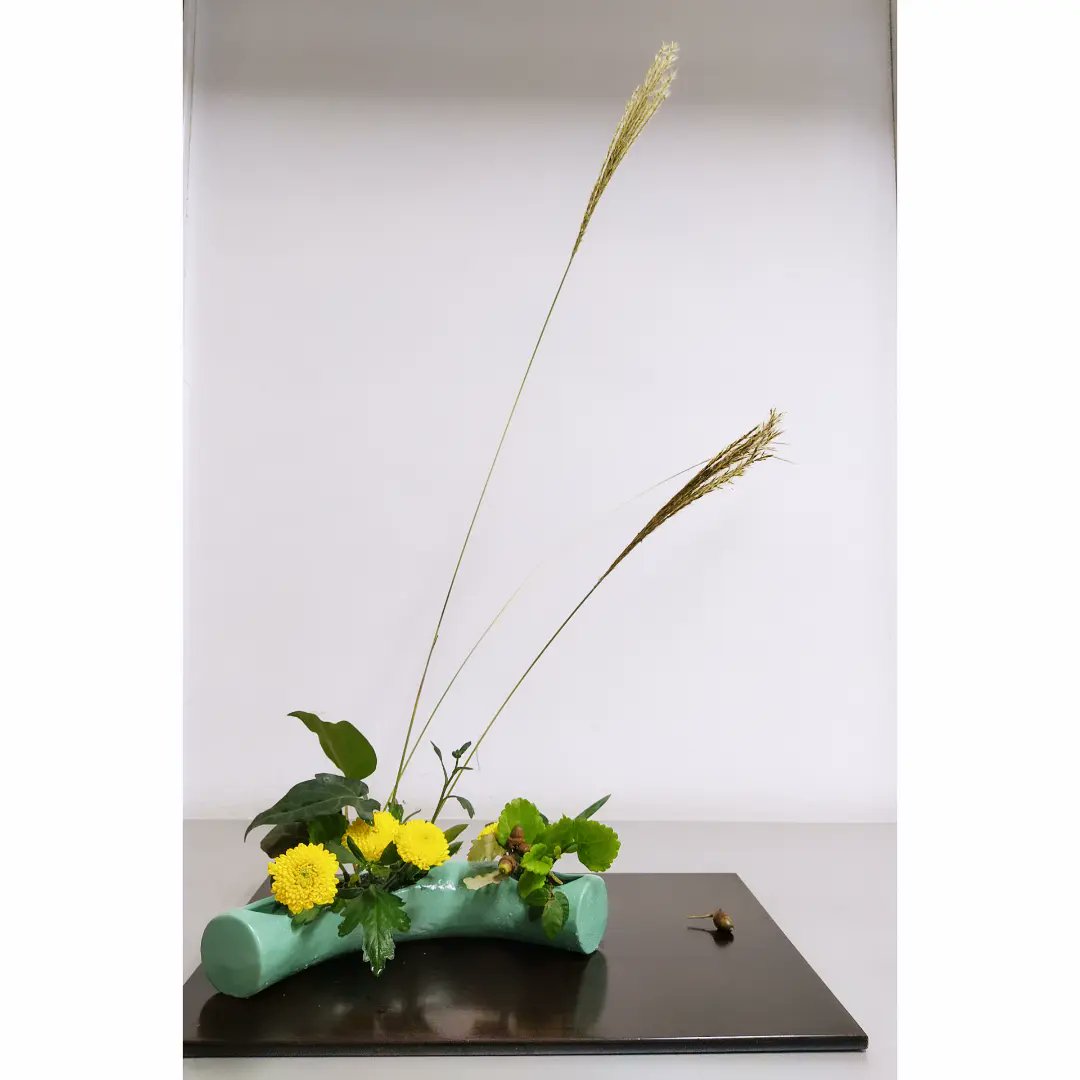 ikebana de hoy estilo libre jiyuka 今日の私の生け花です。自由花です。 <a href="/ikenobo550/">いけばな池坊【公式】</a> <a href="/shiranmaki/">紫蘭まき</a> <a href="/asanact/">Antonia San Juan</a> <a href="/FIONAFERRER/">Fiona Ferrer-Leoni</a> <a href="/Carmen_Lomana/">Carmen Lomana</a> #生け花 #池坊 <a href="/rossydpalma/">rossydepalma</a> <a href="/BisilaBokoko/">Bisila Bokoko</a>