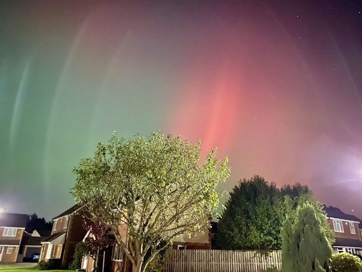 Walking-n-Wagging 🐾🐾 tweet media