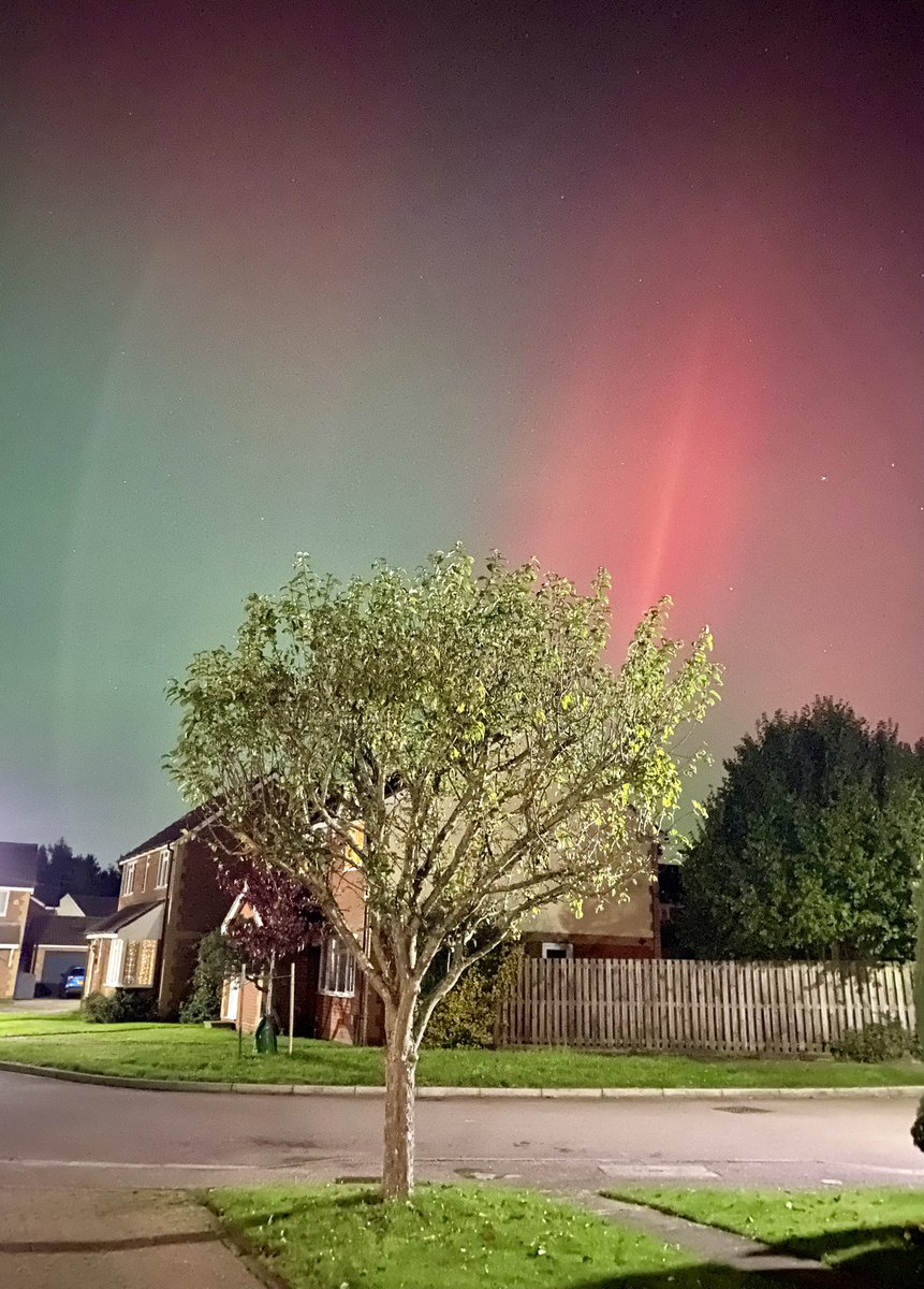 Walking-n-Wagging 🐾🐾 tweet media