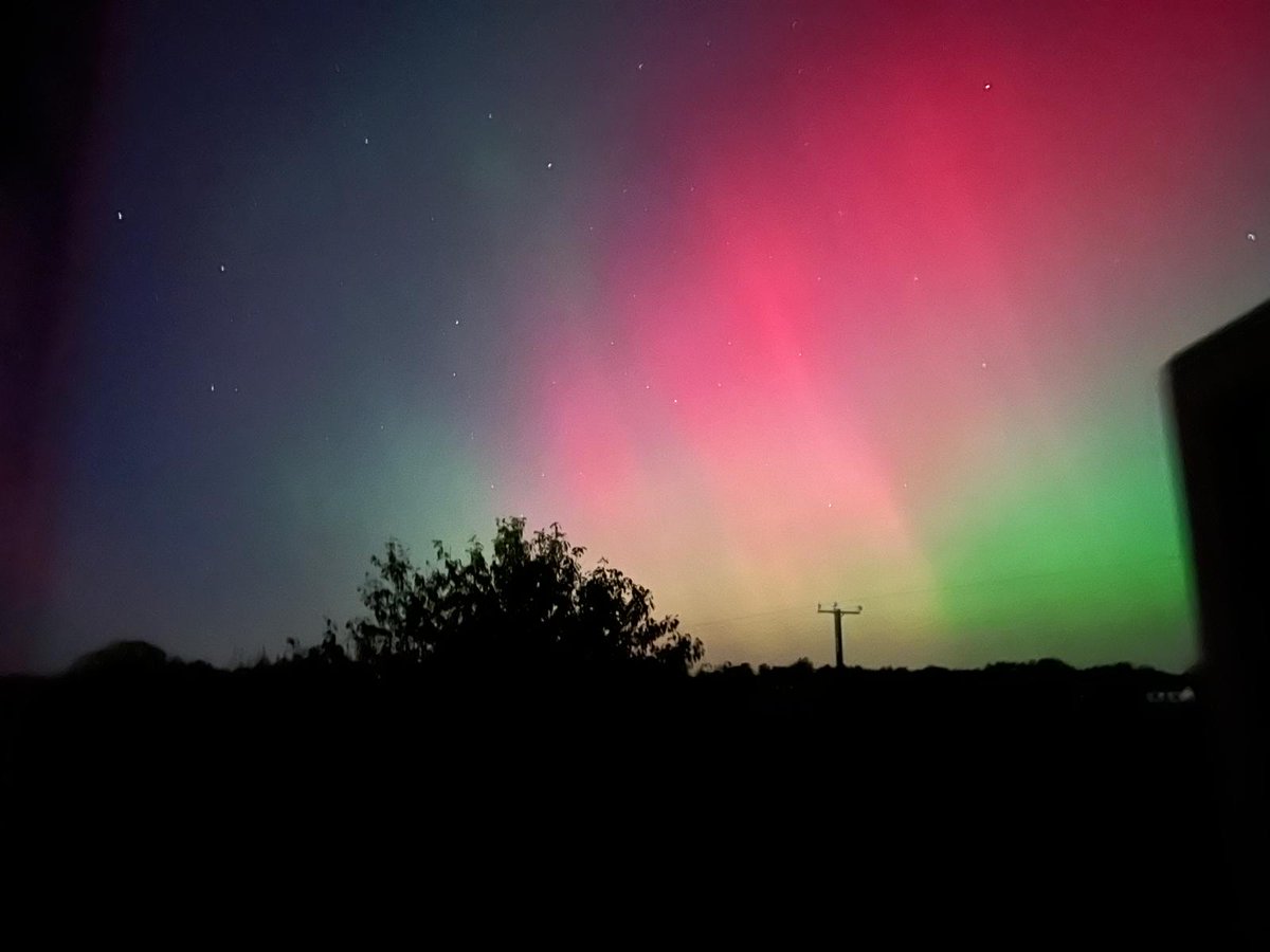 serenabrowne tweet media