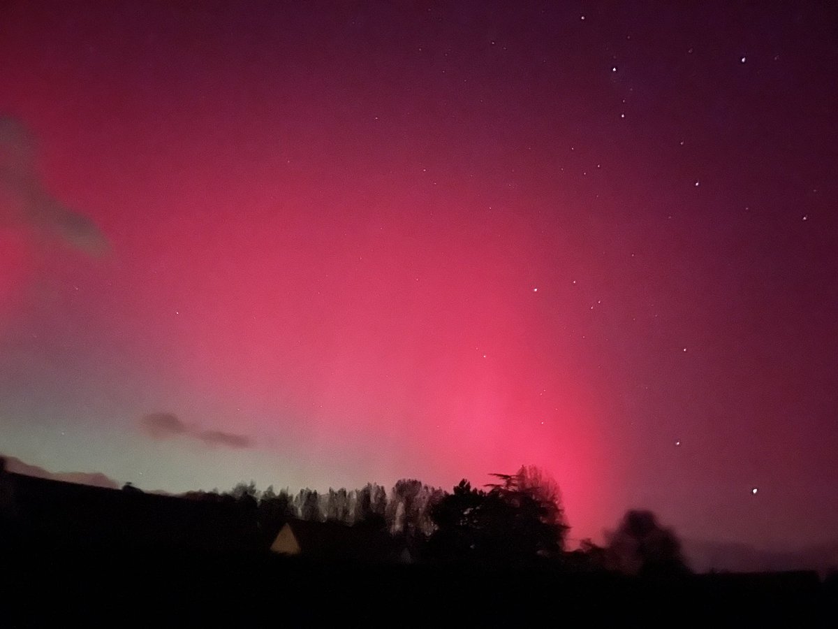 The Answer tweet media