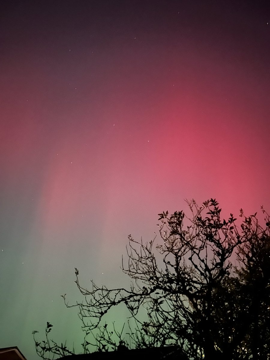 AlisonGeog 🌍 tweet media