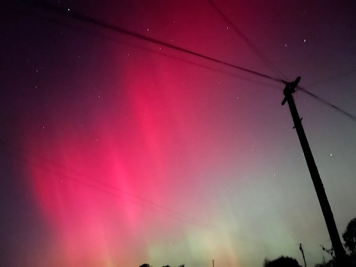 Heimer and the sky over our house competing for my favourite Northern European phenomena tonight #northernlights