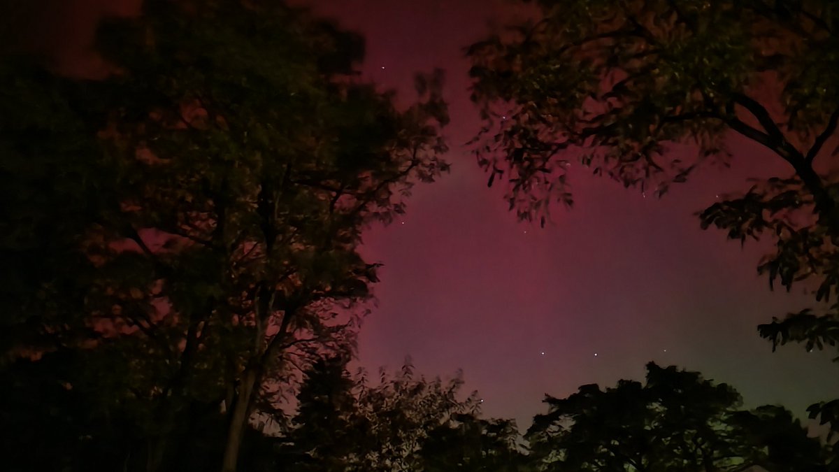 Lüneburg, Norddeutschland 

#aurora #auroraborealis #northernlights #nordlicht