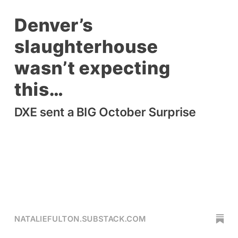 nattiefulton tweet media