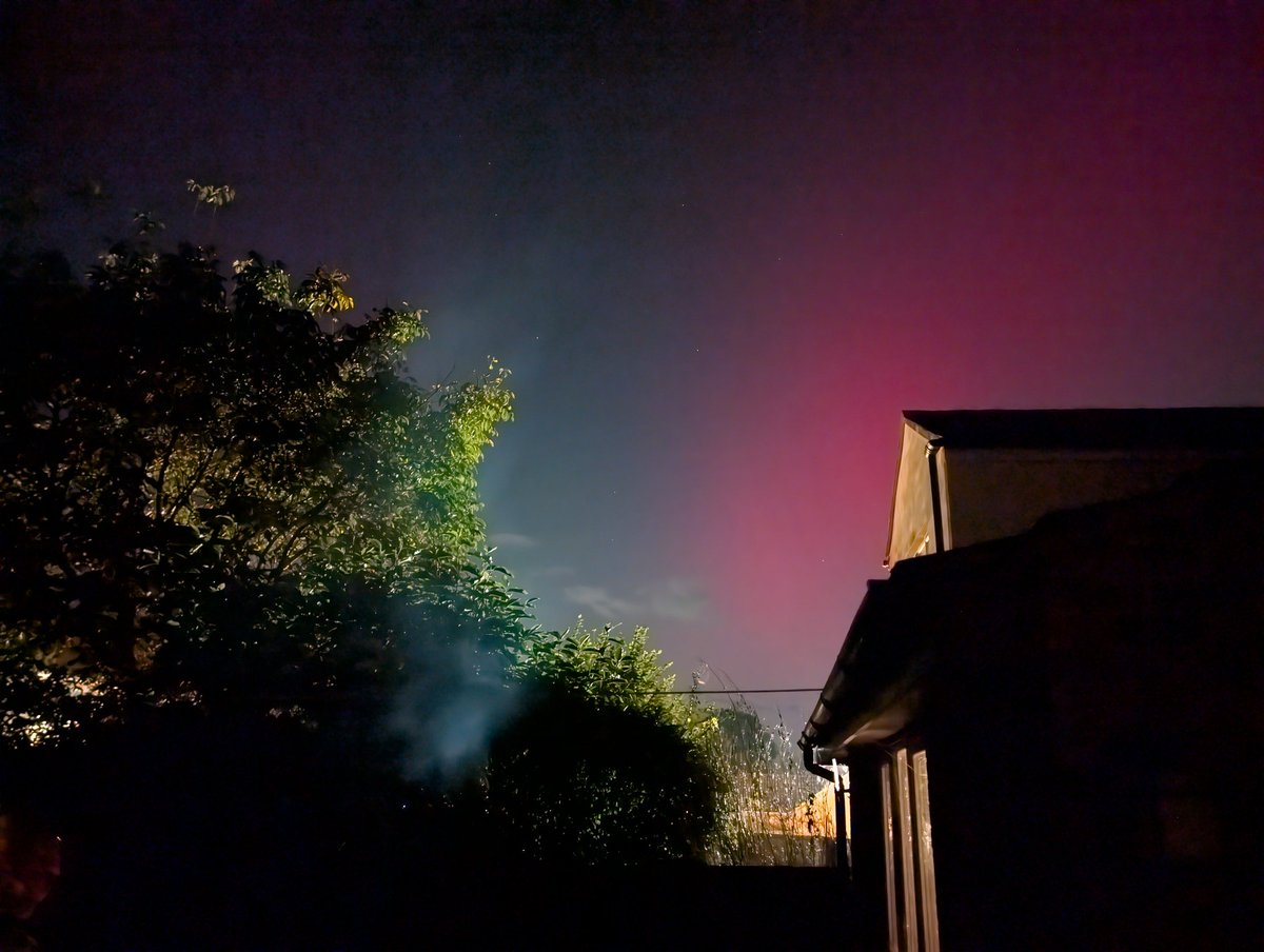 Kimberley Flynn tweet media