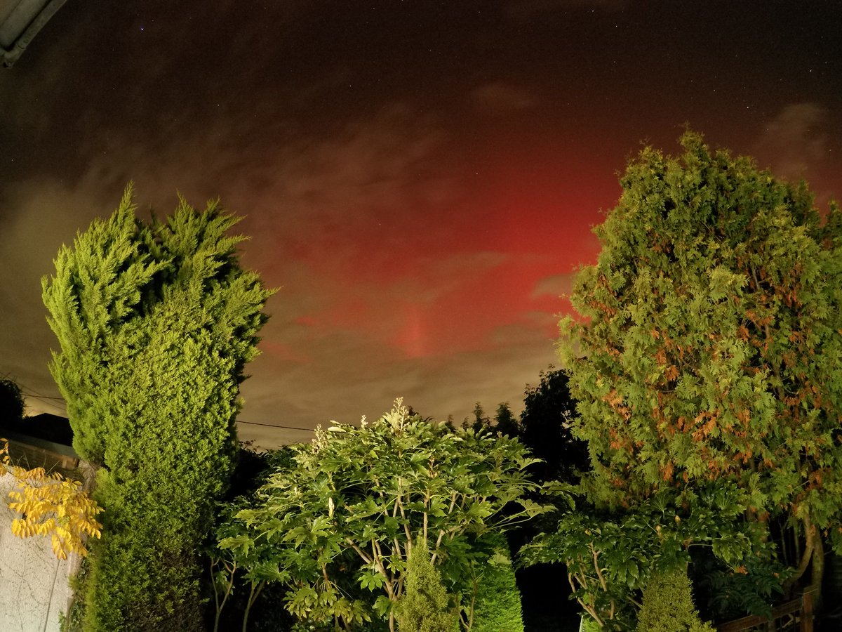 Ian Fergusson tweet media