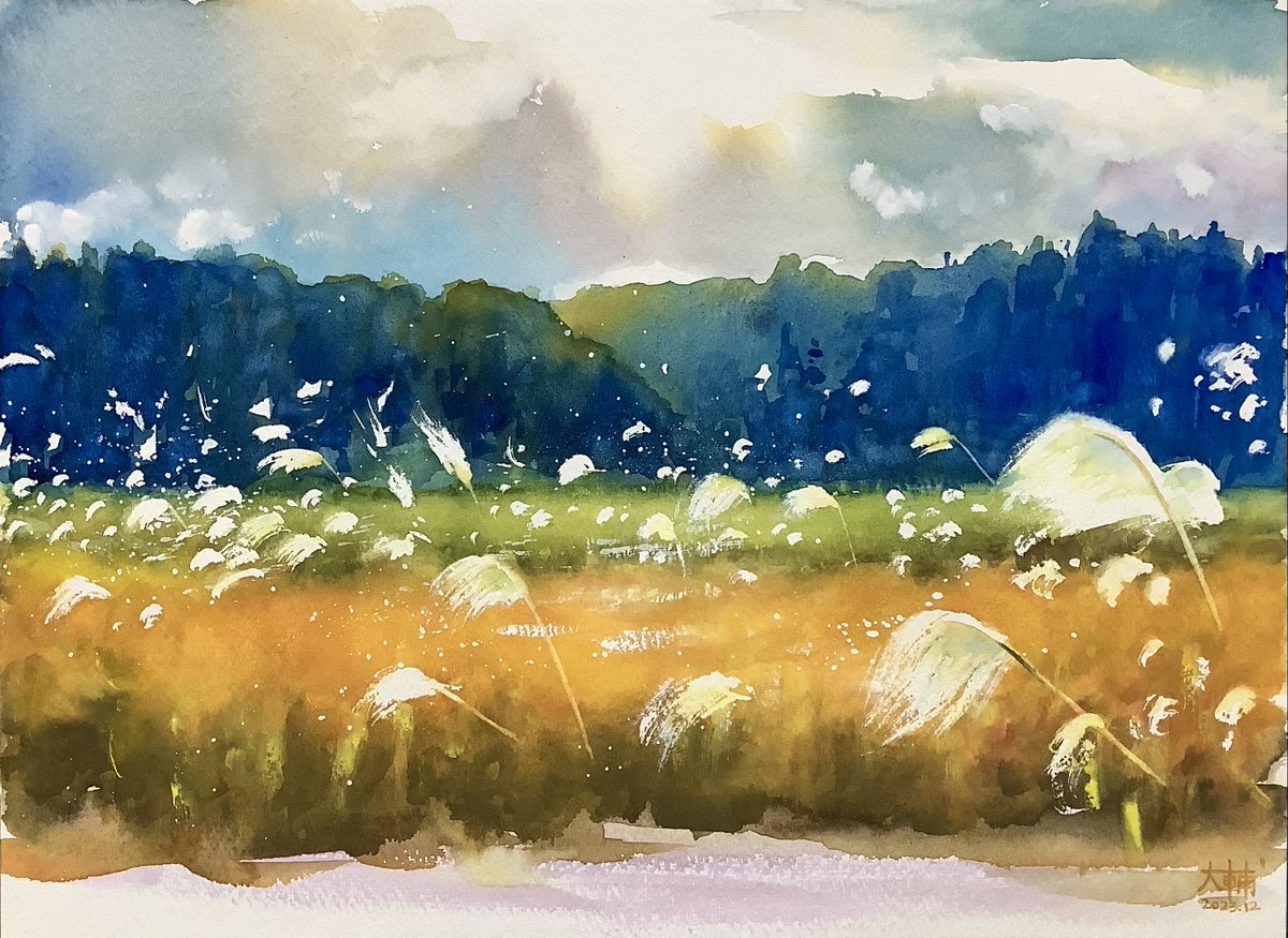 DiDi（土井大輔）watercolor on X: 