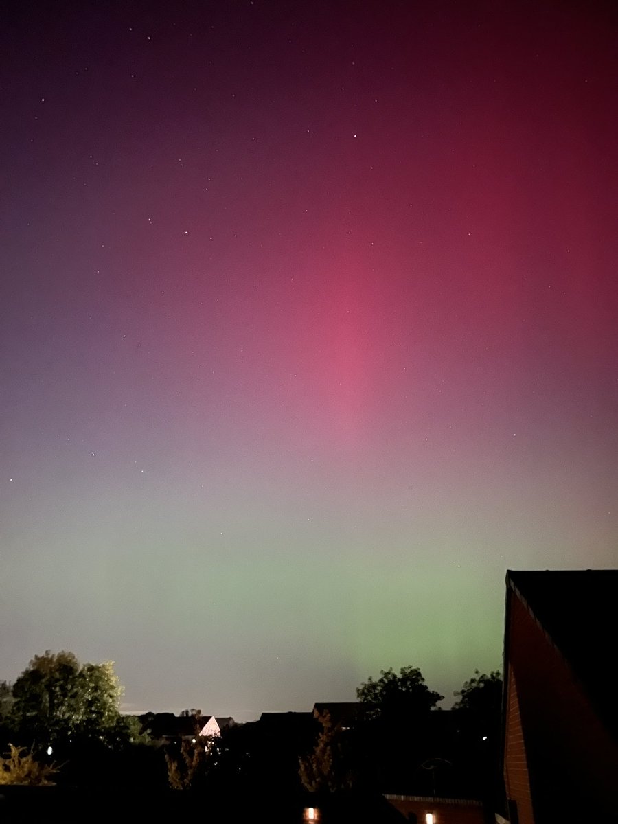 Ash Routen tweet media