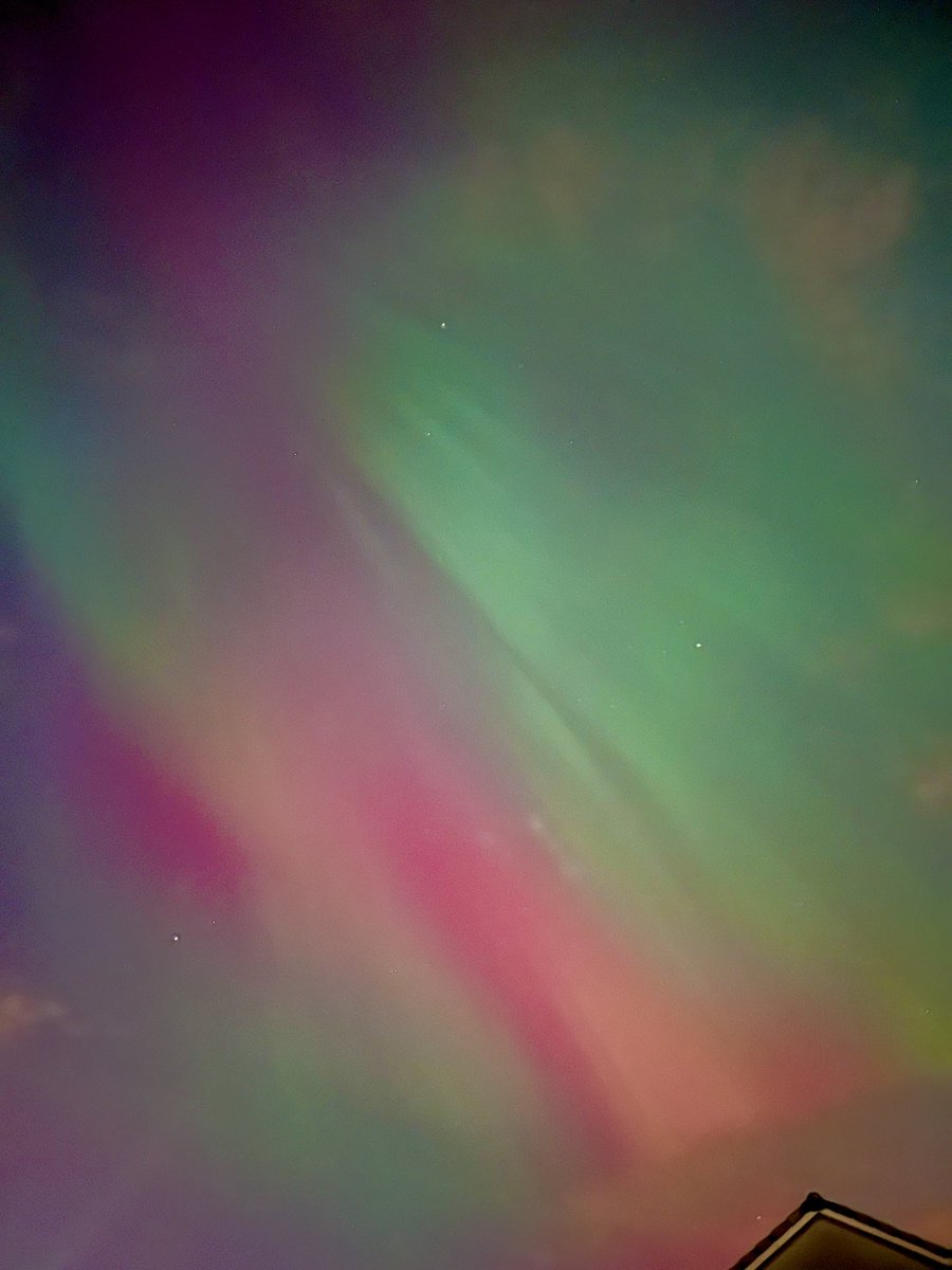 Miss Smith tweet media