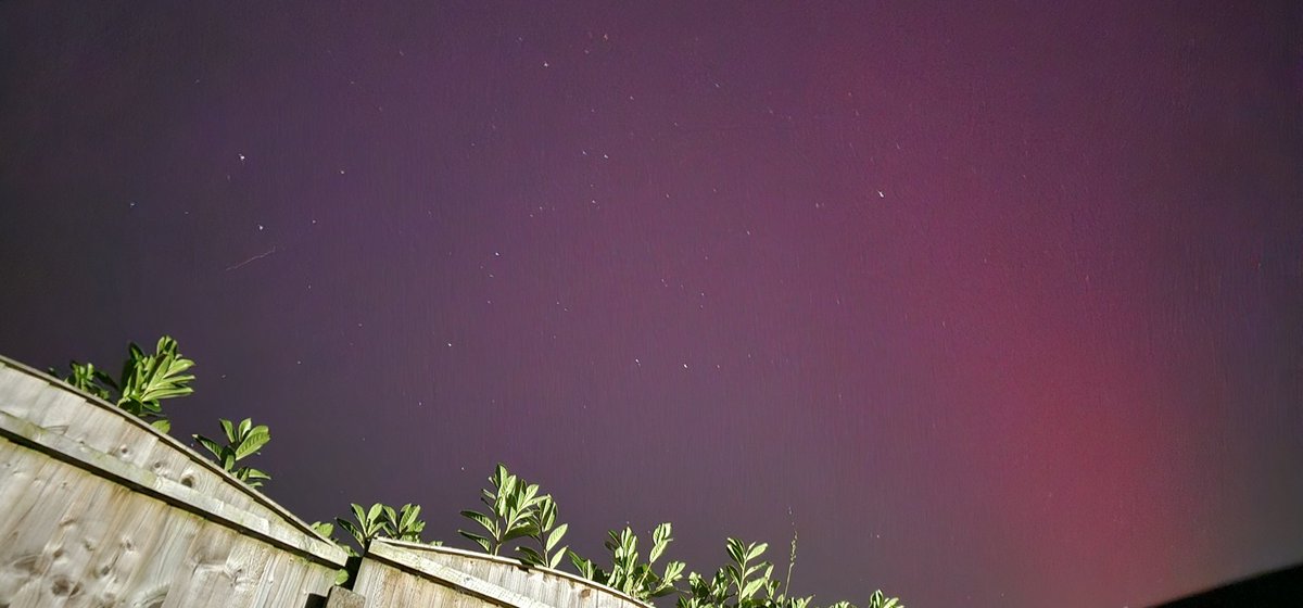 🏎🏍 Emma 🐎📸 tweet media