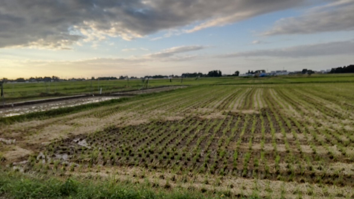 高橋修（cafe　LOVEALL） tweet media