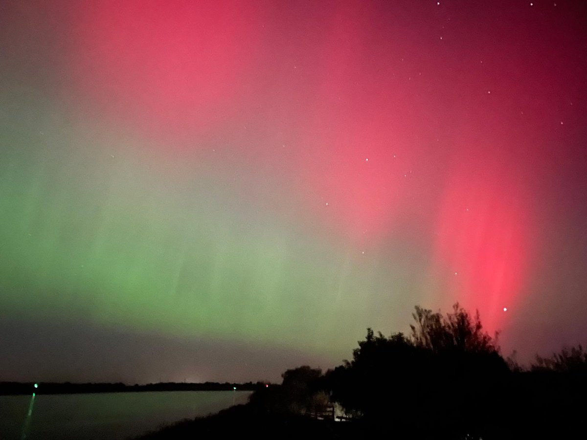 …and a flock of whoopers through just to make if even better