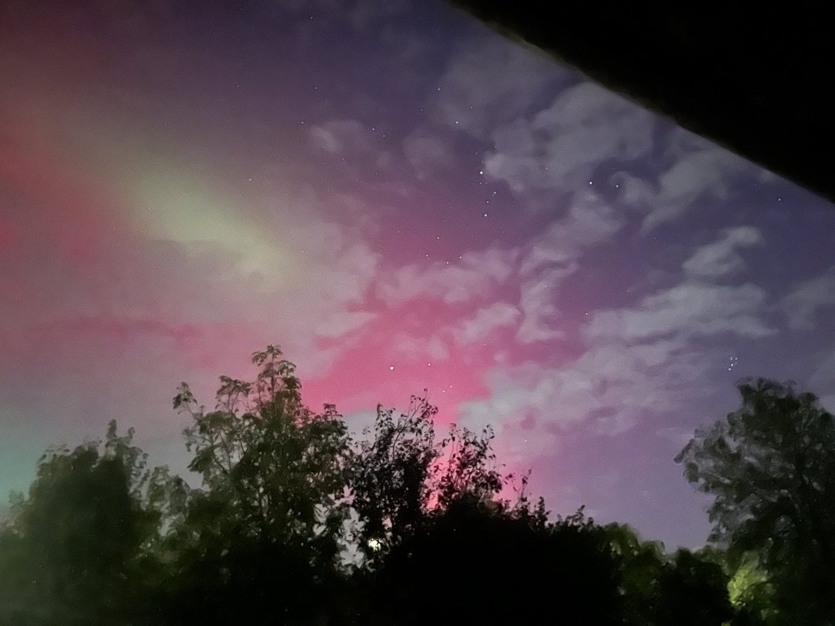 Eleanor W tweet media