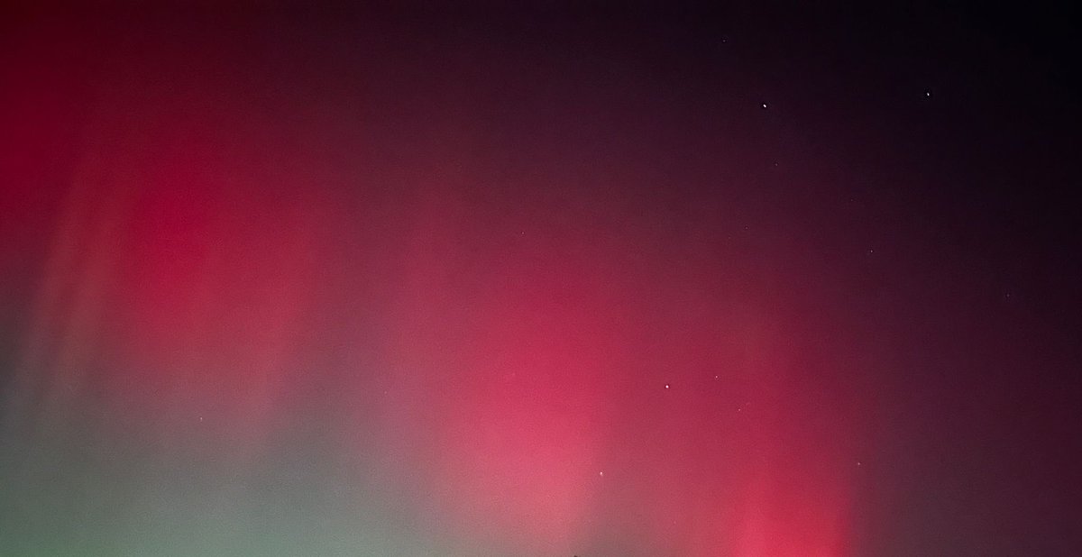 Jonathan Gunn tweet media