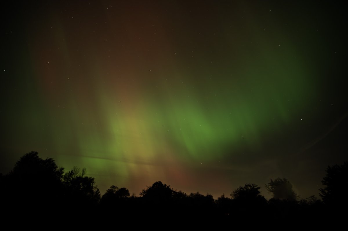 From the Nikon. Not really much better than the phone.