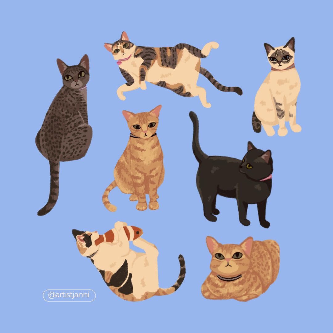 Janni the Artist tweet media