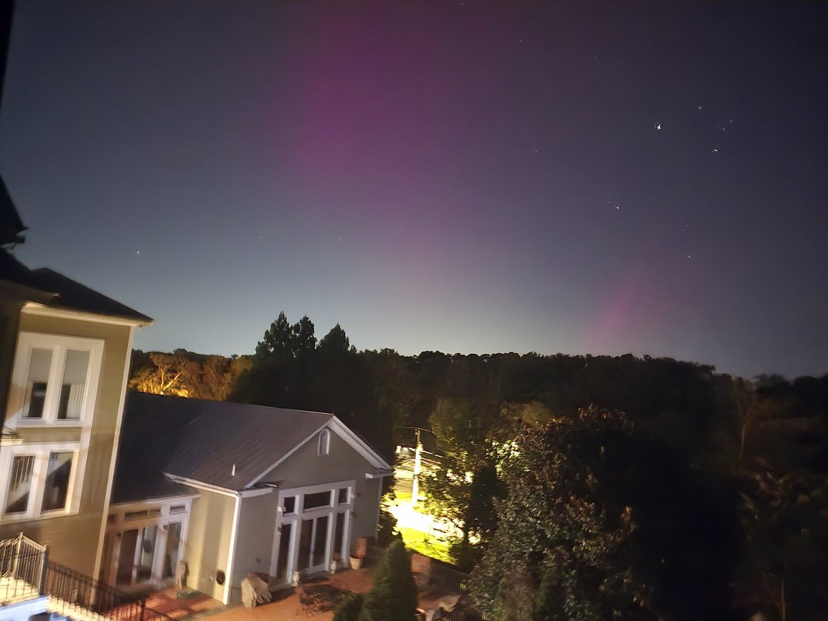 ( ͡° ω ͡° ) ✧ 🍉🇵🇸 tweet media