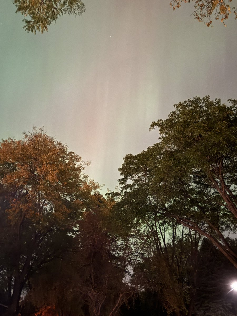 JacquiMeany's tweet photo. @CathyWurzer From my front yard in White bear Lake, with iPhone camera. Can barely see with naked eye, but the camera filters out the city light. https://t.co/mwpWVuMkuI