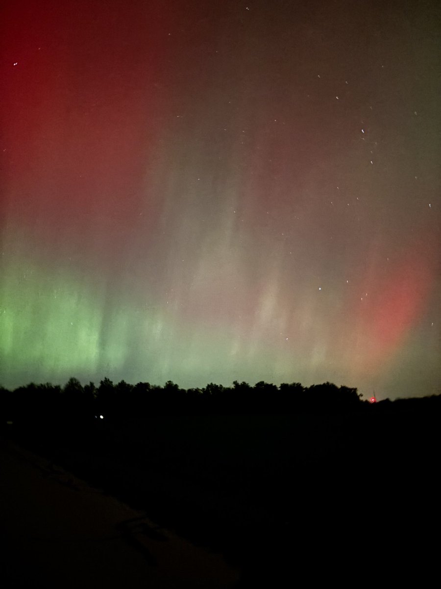 Isaiah Rosner tweet media