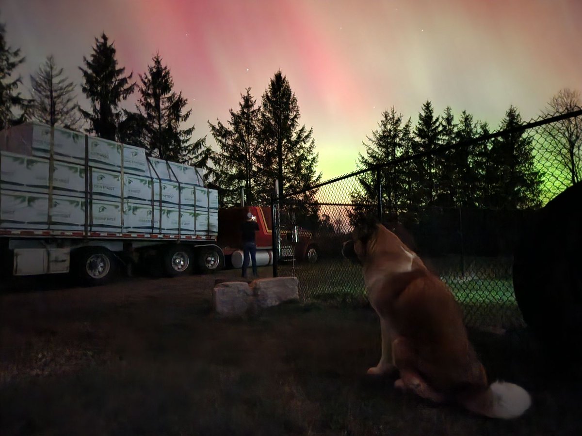Northern lights phelpston ontario tonight . Starring an old freightliner with a bunch of dead trees on it and jackie big balls
