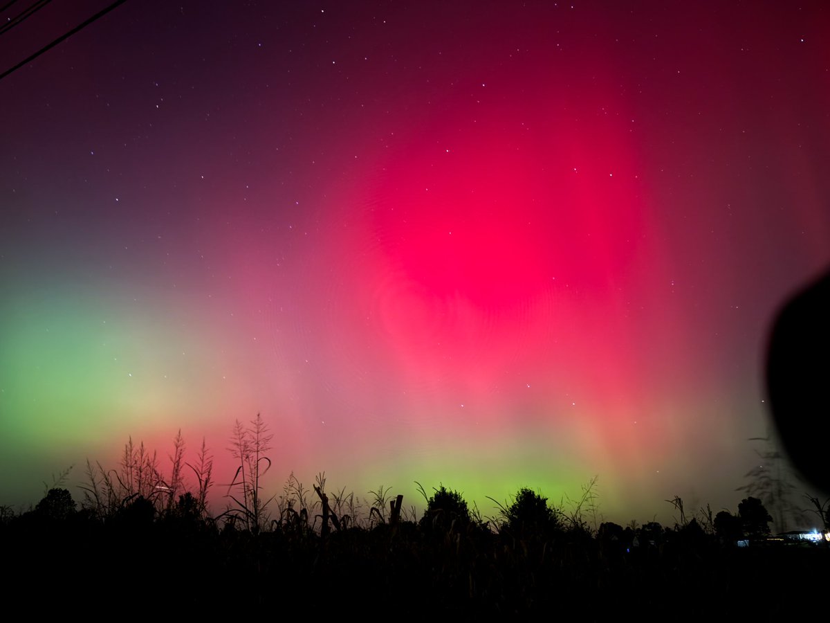 Marc Weinberg tweet media