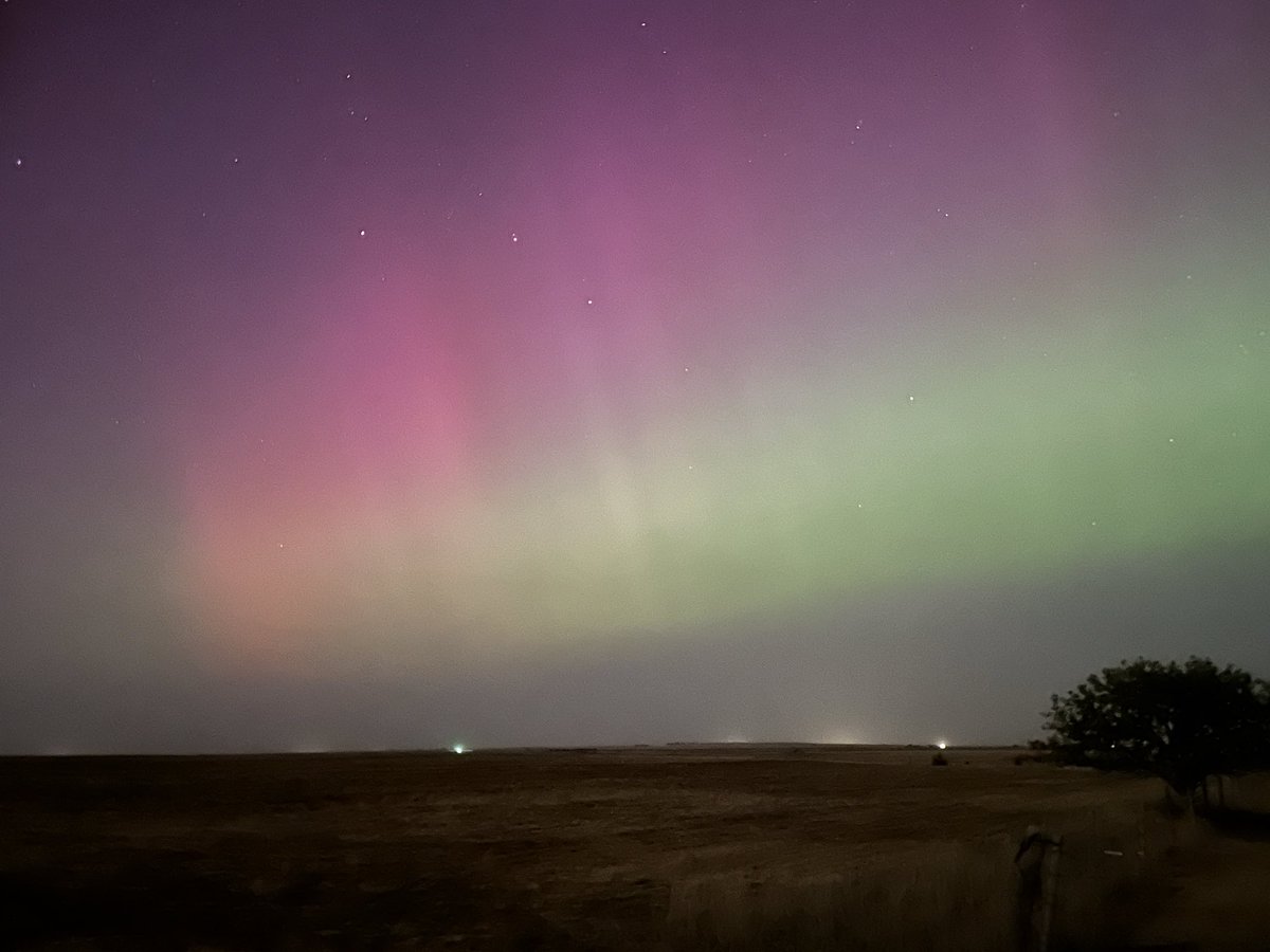 steve arthur 🚀🌱🌶✨ tweet media