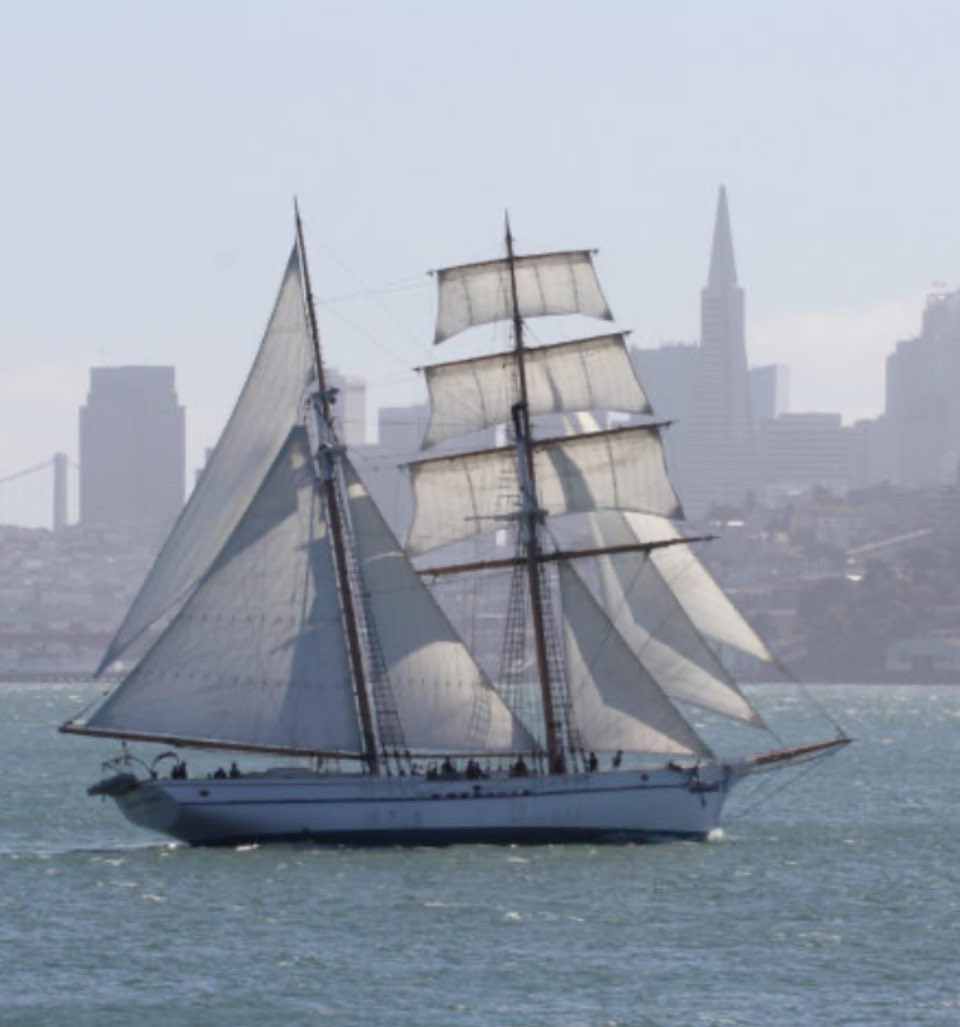 clstward1's tweet image. Working the lines, hoisting the sails! #4thgrade #GCC_Charters @EPIC_academics explores get their sea legs as they inquire into what early explorers might have experienced during the Golden Age of Exploration. @iborganization @gcc_jsample #GCCLevelUp Thank you  @CalloftheSea