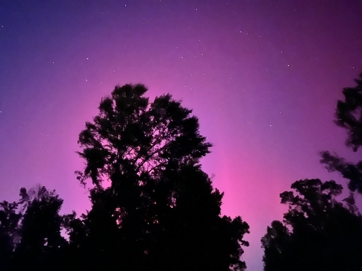 Skate90's tweet photo. Northern lights seen from Deerlick Creek Park in Tuscaloosa County, Alabama @spann https://t.co/5N4Tcakknu