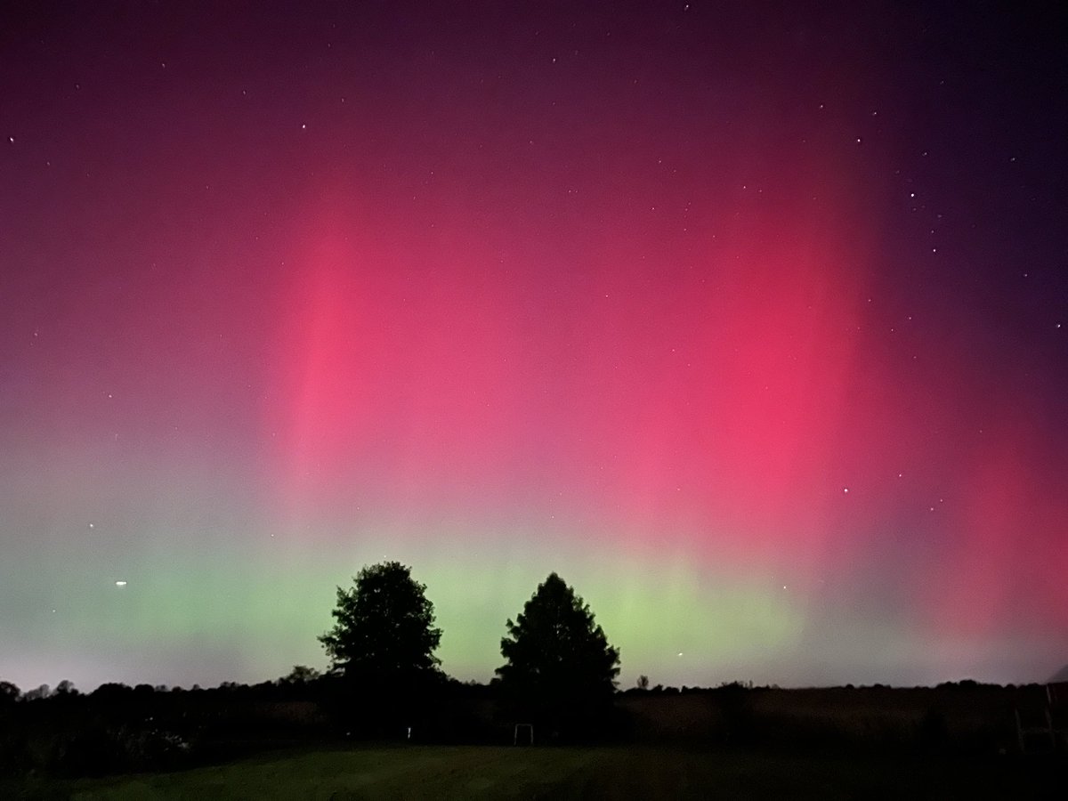 April Watkins tweet media