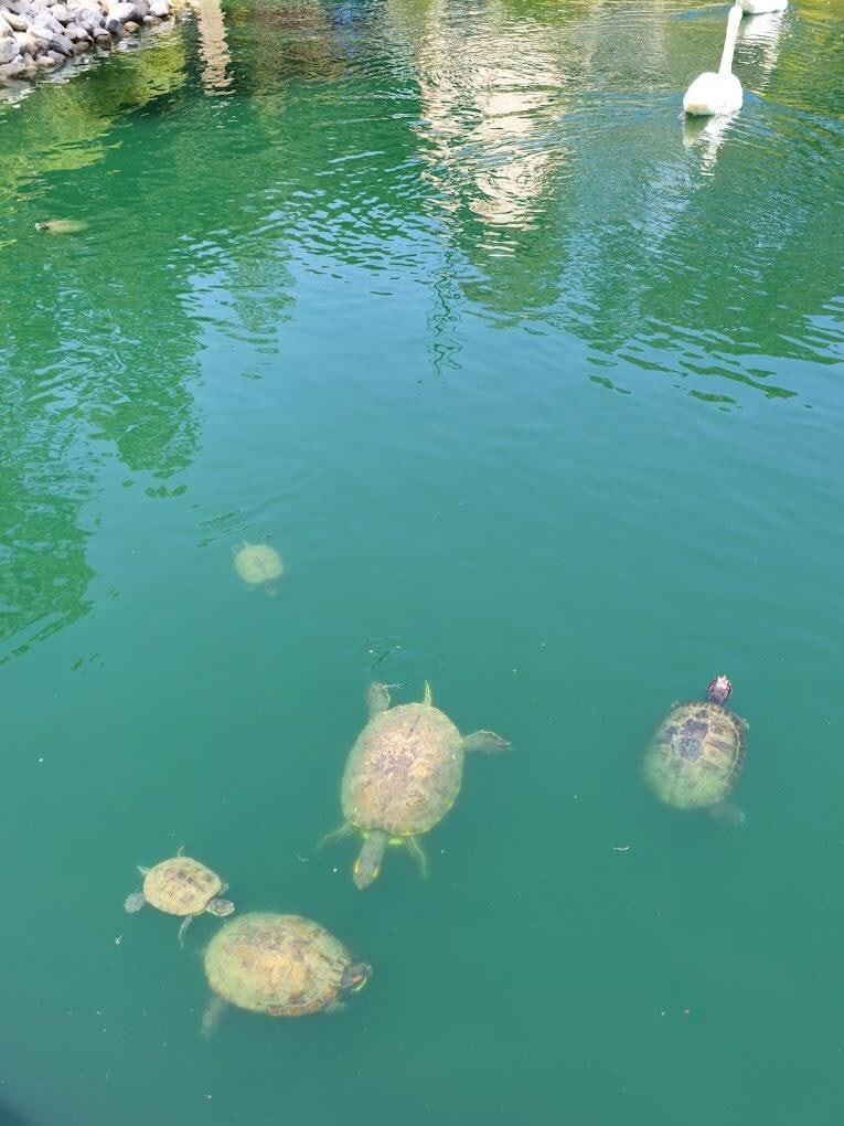 Emilia1002_'s tweet photo. Meditation time 🧘🏻‍♀️ https://t.co/XQ5IYTc9LJ