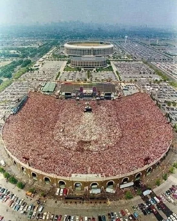 tflatley tweet media