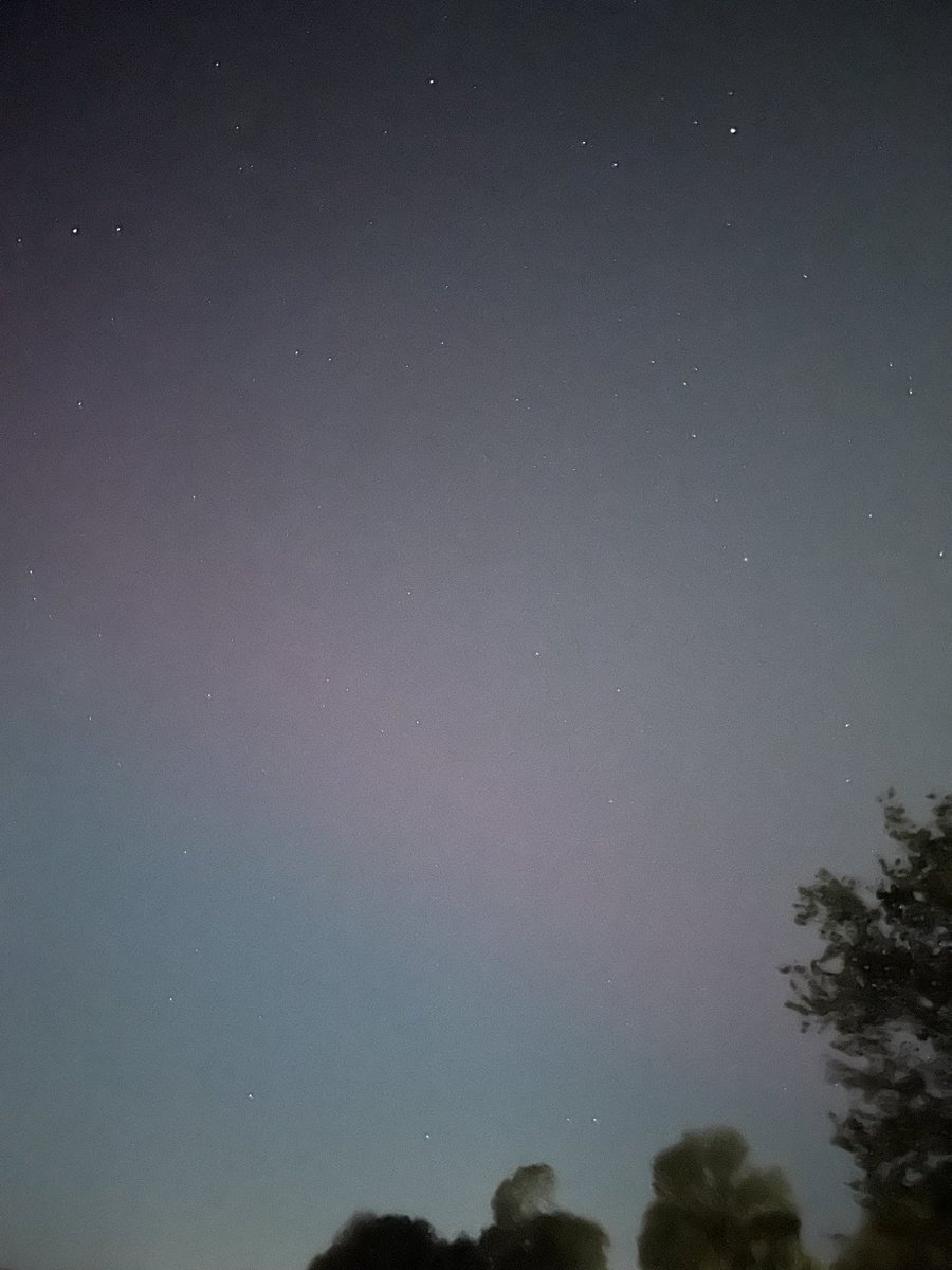 CSCPsychology's tweet image. Northern Lights in the Hill. #homeonthehill