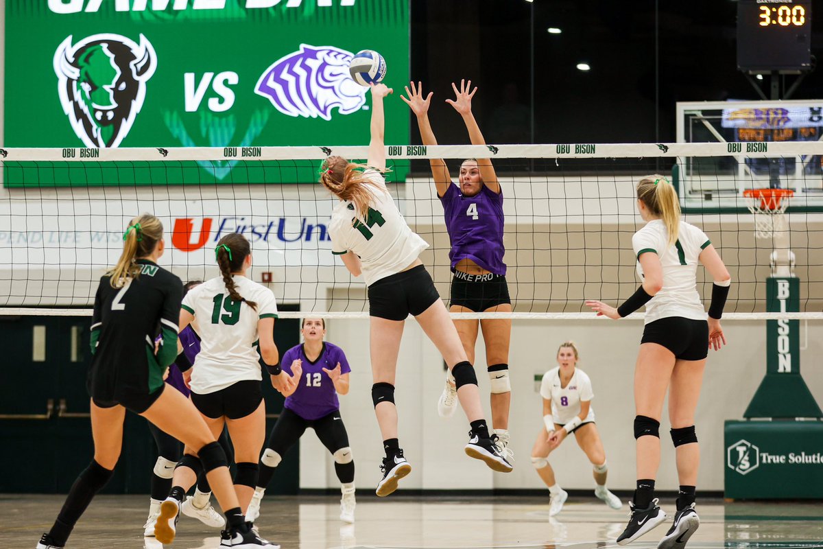 OBU Volleyball tweet media