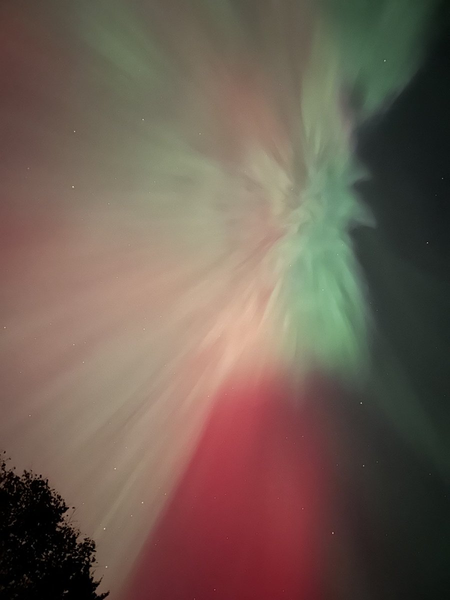TaliaMLM's tweet image. Aurora in Minden, Ontario tonight! ✨