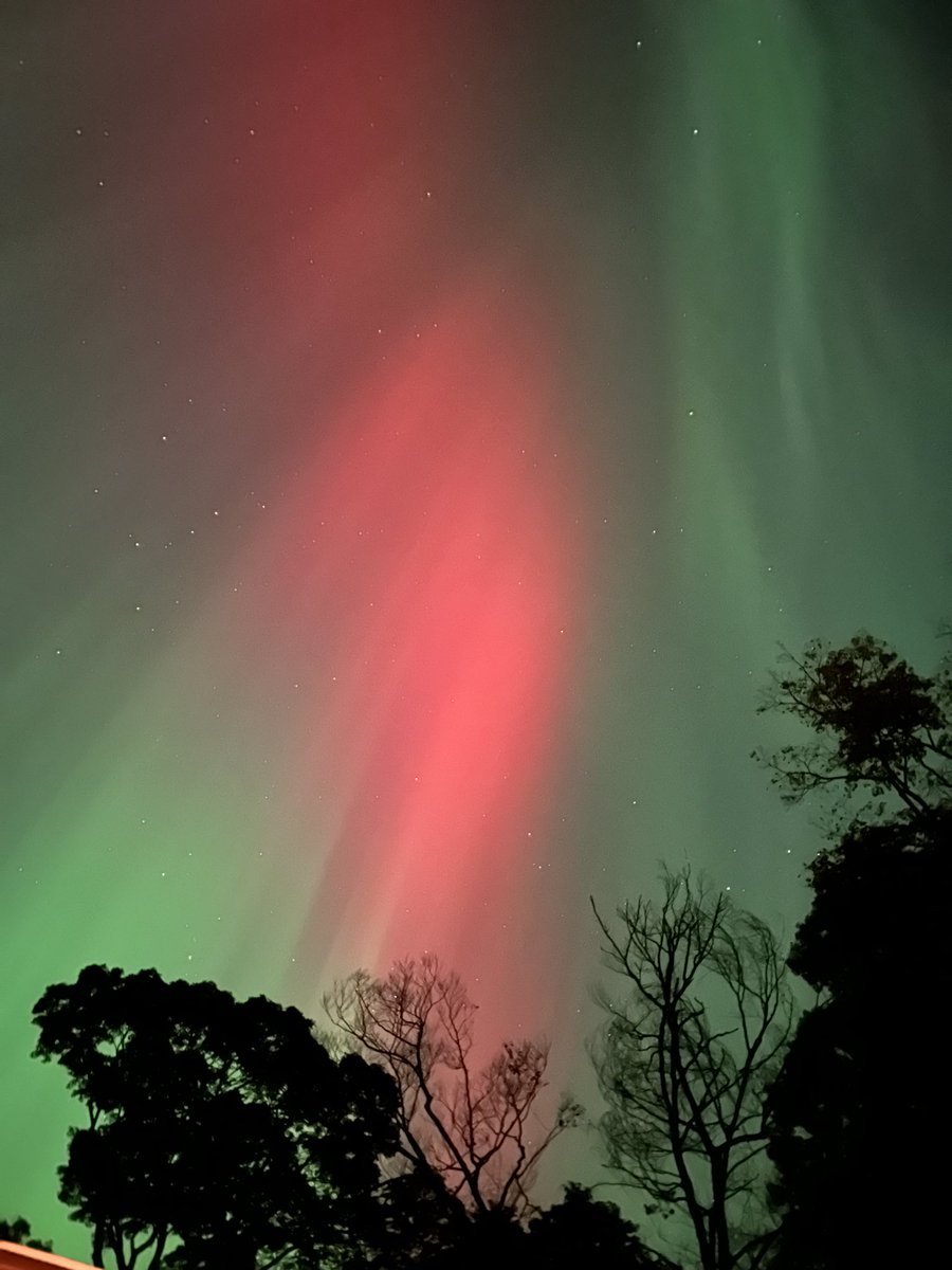 TaliaMLM's tweet image. Aurora in Minden, Ontario tonight! ✨
