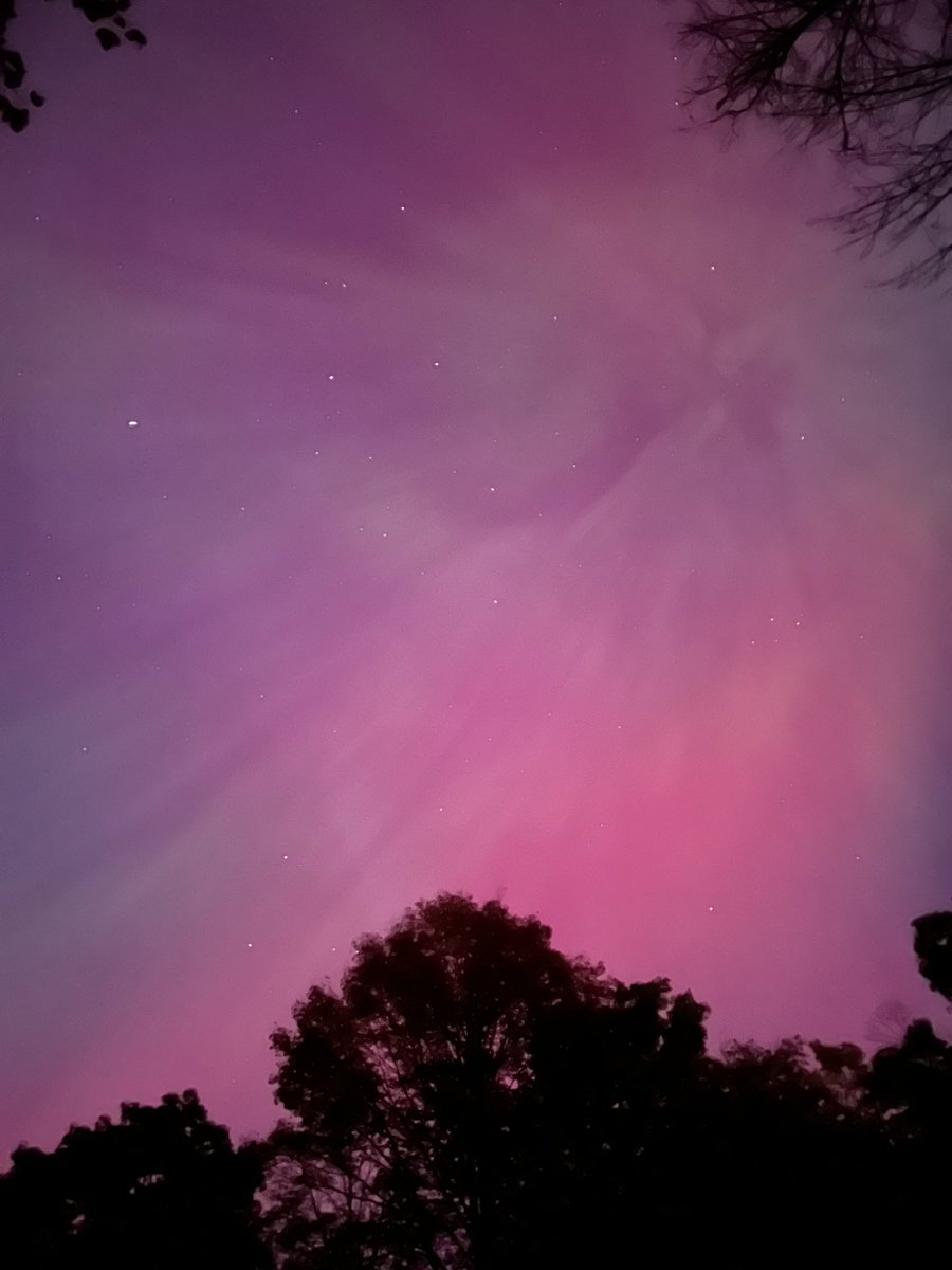 TaliaMLM's tweet image. Aurora in Minden, Ontario tonight! ✨
