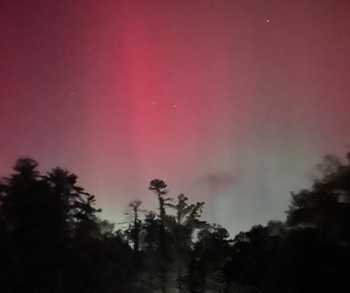 Sid Orlando tweet media