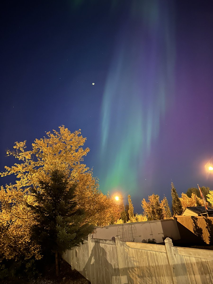 ELLAsDaily's tweet photo. View from my backyard 💚 #Auroraborealis #edmonton #sherwoodpark #northernlights https://t.co/67aIea7dO5