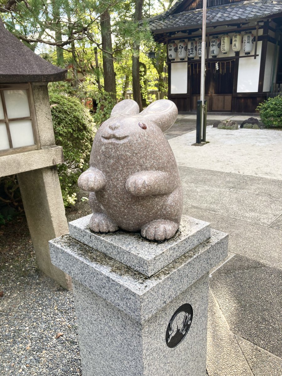tonikaku_usagi3 tweet picture