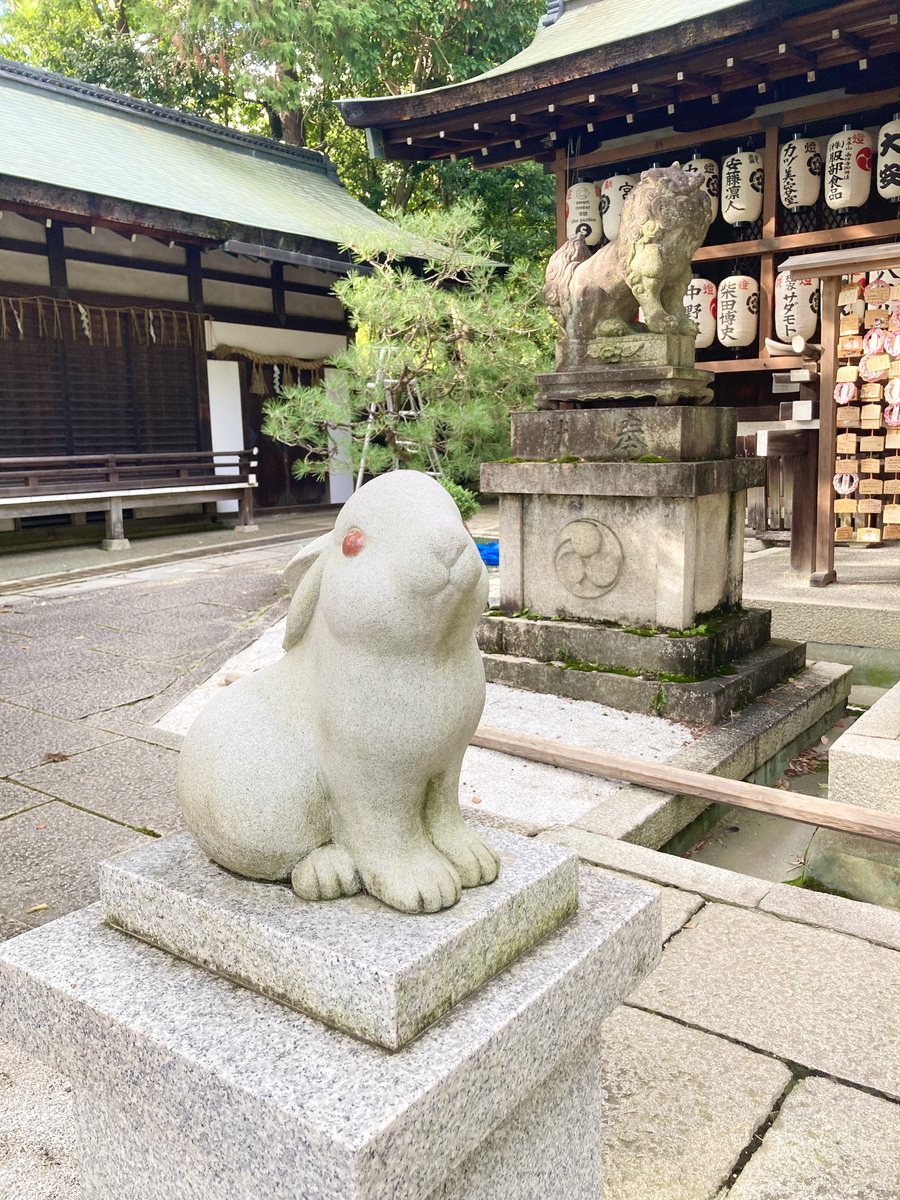 tonikaku_usagi3 tweet picture