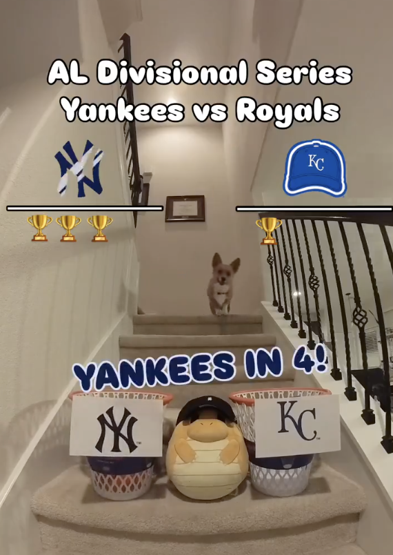 Eric Hubbs tweet media