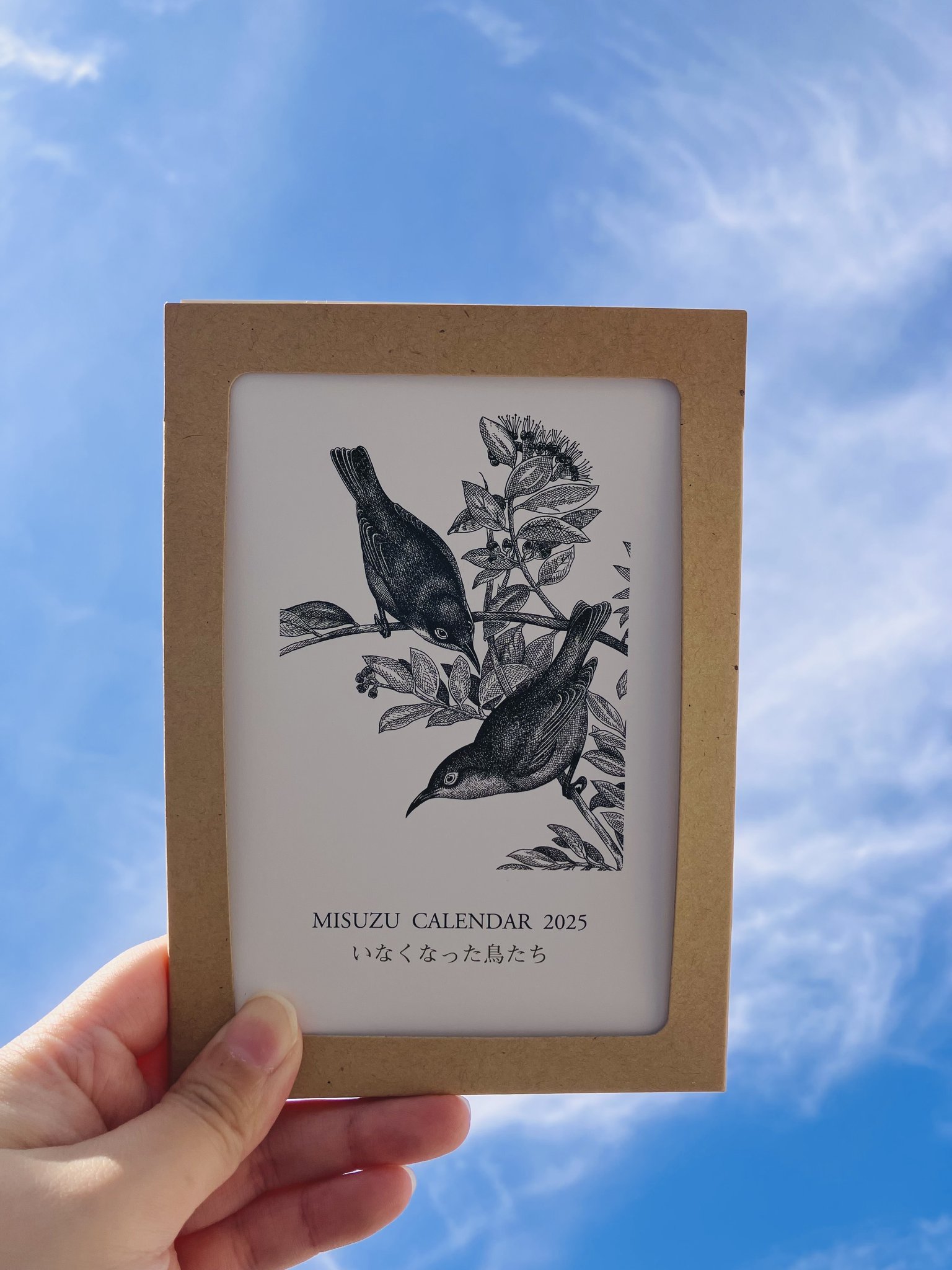 GZk9qNbasAAqXJ7.jpg:large