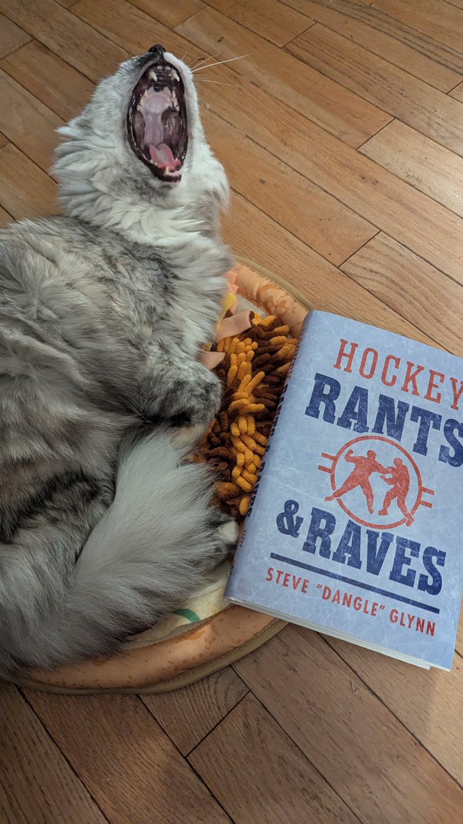 My cat is doing her best <a href="/Steve_Dangle/">Steve “Dangle” Glynn</a> impression.