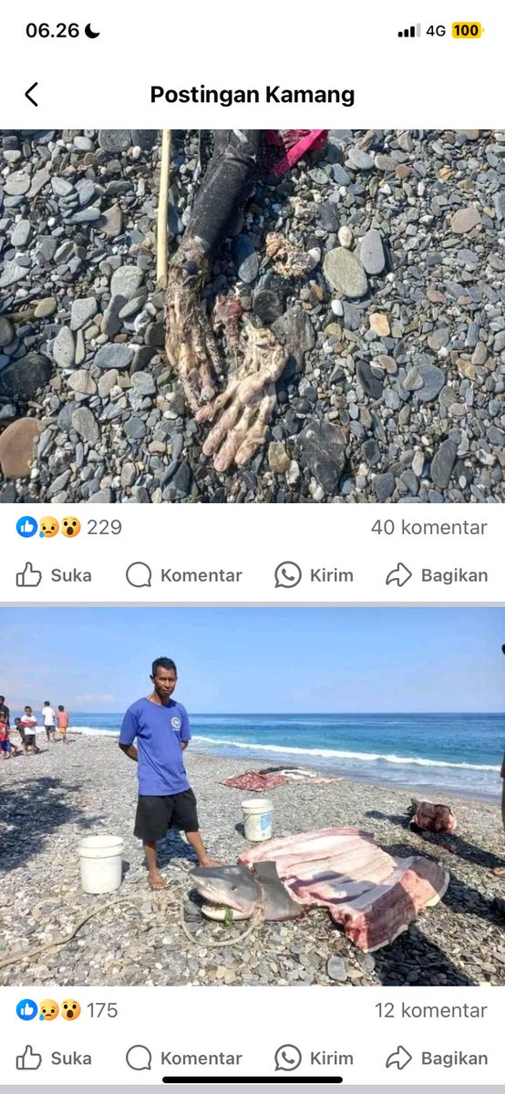 Melson F tweet media