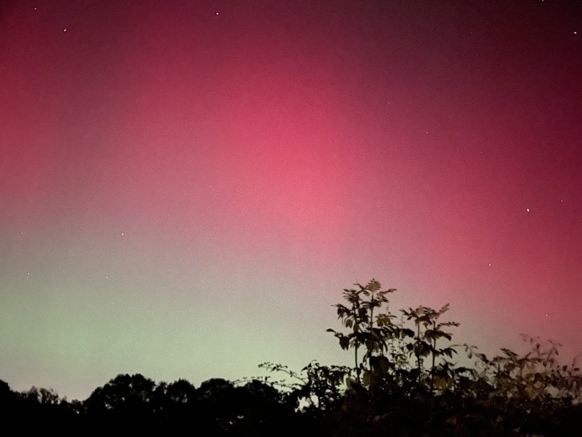 Sharon McSweeney tweet media