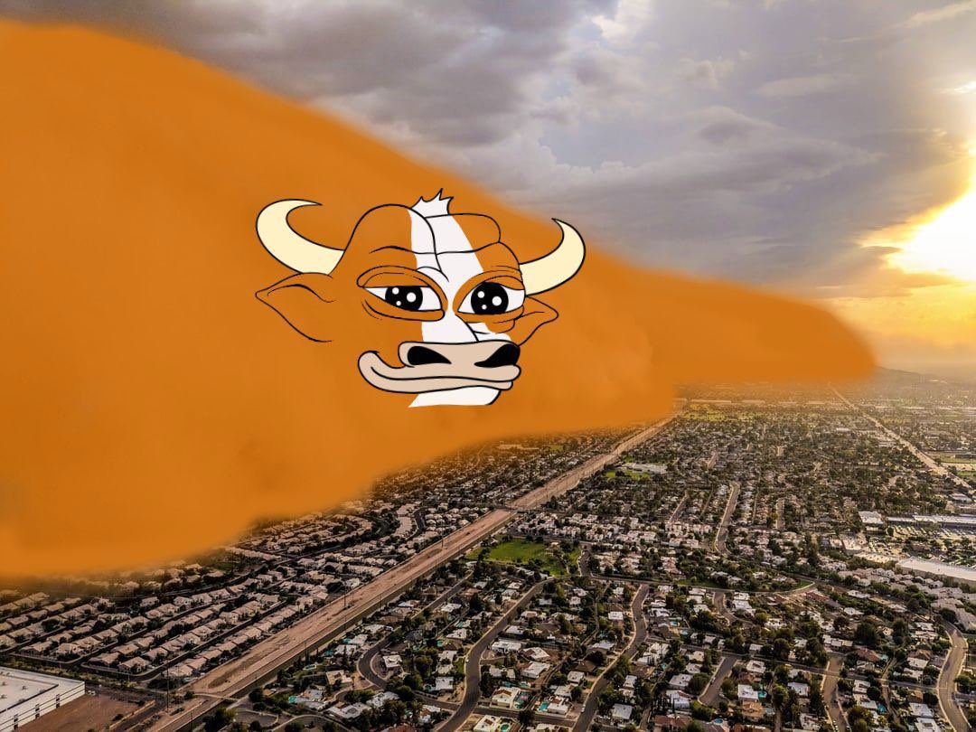 The__Solstice's tweet photo. Mumu has some of the best holders in crypto, and is set to giga send from here (real)

How many newly rich memecoin holders would love to ape a sizeable bag of THE bull. https://t.co/5U3C8keZlI