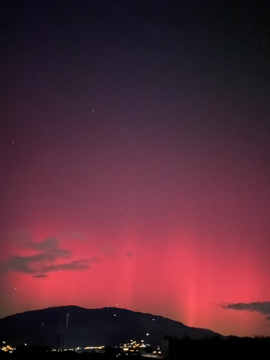 gio 🥥 tweet media