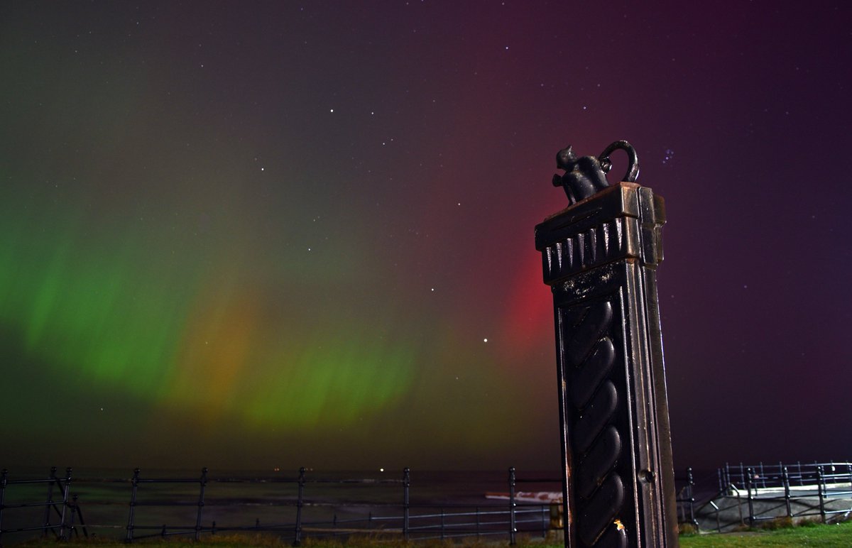 BernadetteMalcolmson tweet media